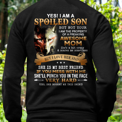 Lucky Son of Awesome Mom - Perfect Gift for Son From Mom - TIEN00 (SKU10-128-00)