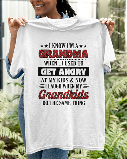 KNOW I'M A GRANDMA WHEN... I USED TO GET ANGRY AT MY KIDS & NOW I LAUGH WHEN MY GRANDKIDS DO THE SAME THING - from grandma TIEN00 (SKU07-111)