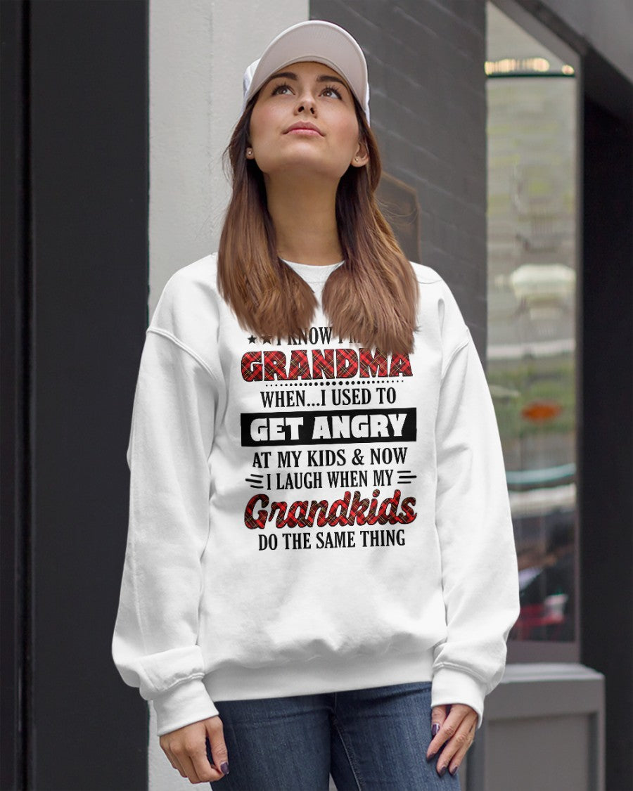 KNOW I'M A GRANDMA WHEN... I USED TO GET ANGRY AT MY KIDS & NOW I LAUGH WHEN MY GRANDKIDS DO THE SAME THING - from grandma TIEN00 (SKU07-111)