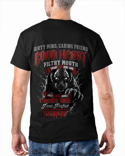 "GOOD HEART BUT FILTHY MOUTH - I NEVER SAID I WAS PERFECT" –  COOL T - SHIRT FOR MEN – TIEN06 (SKU2606-120-06)